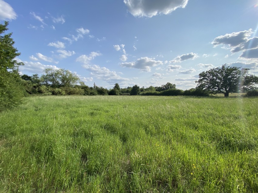 Images for Homestead Road, Ramsden Bellhouse, Billericay