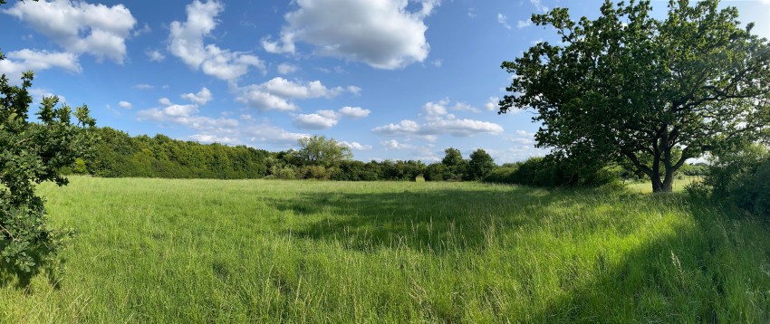 Images for Homestead Road, Ramsden Bellhouse, Billericay